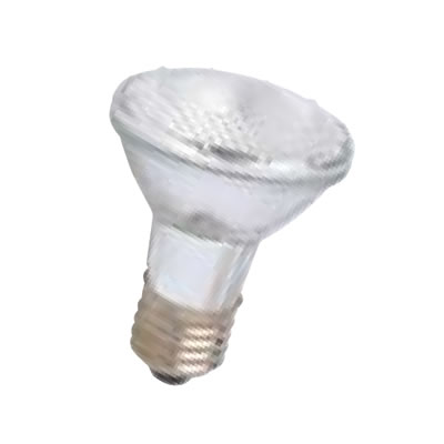 PAR20 Halogen Lamps