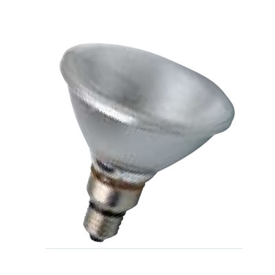 PAR38 Halogen Lamps